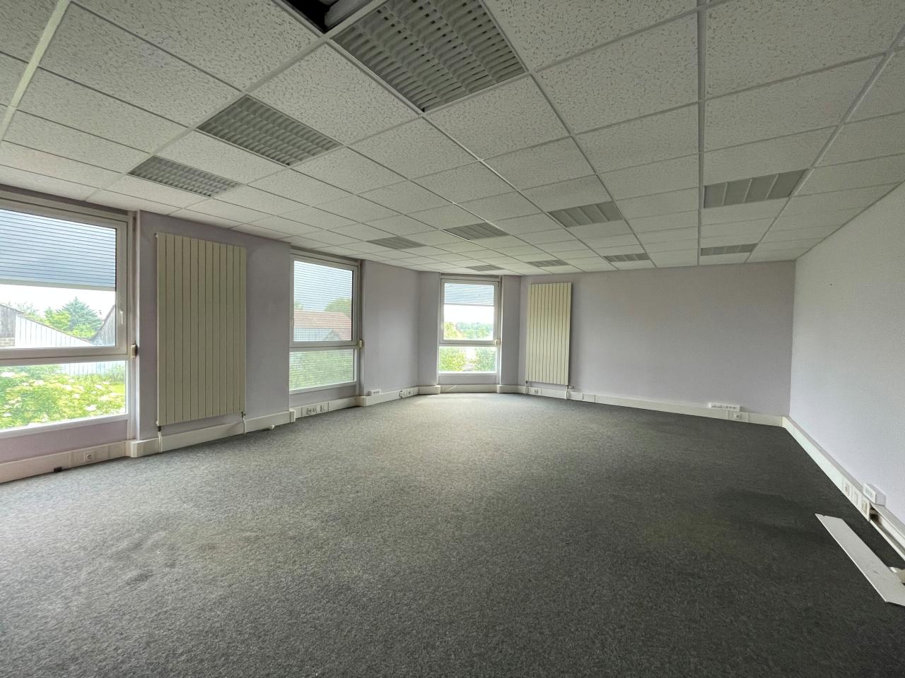 Local d'activité Otterswiller 39980m² Location local d'activité Otterswiller Bas-Rhin OLACT2425961 6